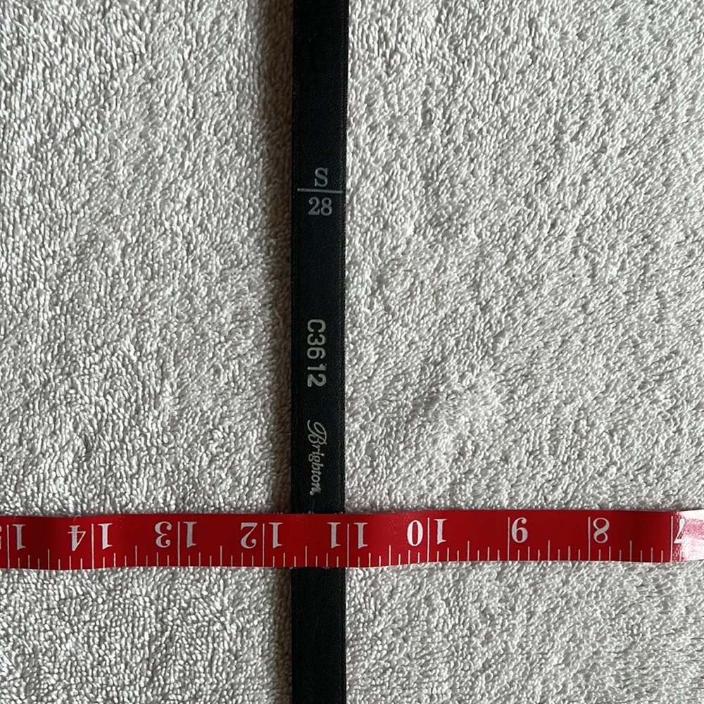 Brighton Red and Black Belt
